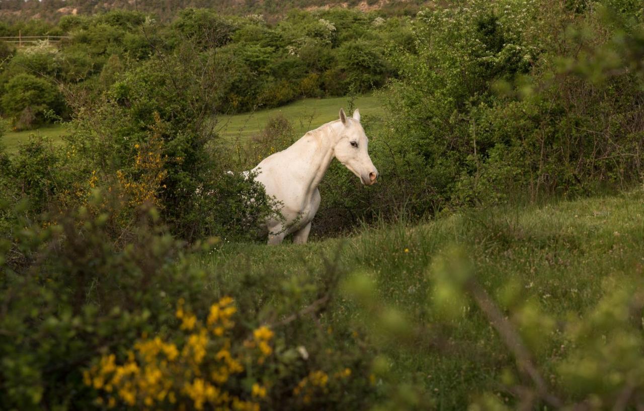 Hospedaje Rural Casa Parri Poveda de la Sierra Esterno foto